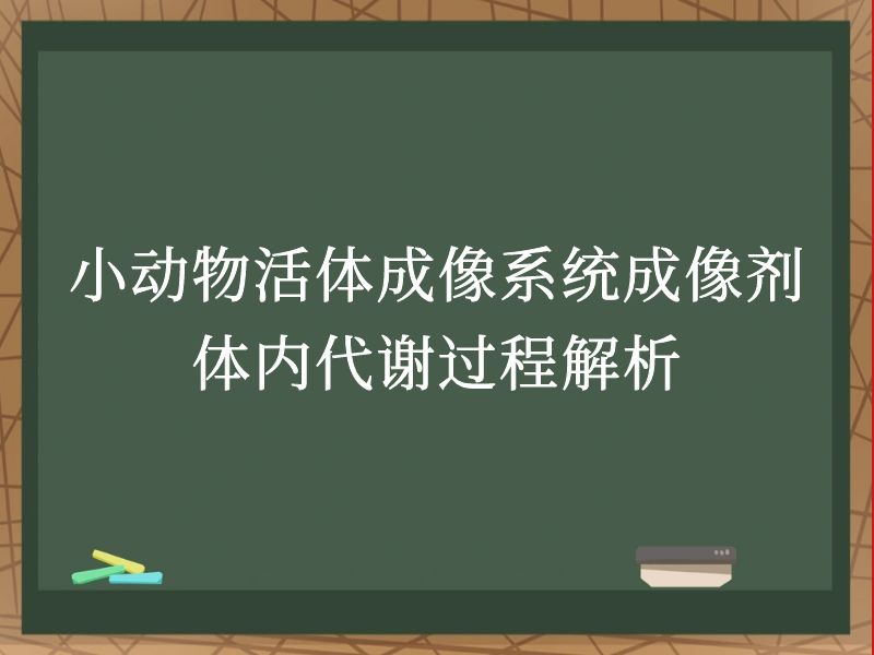 小动物活体成像系统成像剂体内代谢过程解析